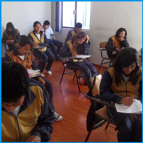 cursos de apoyo academico