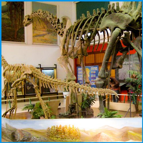 viajes de estudio de acuerdo al programa de actividades escolares